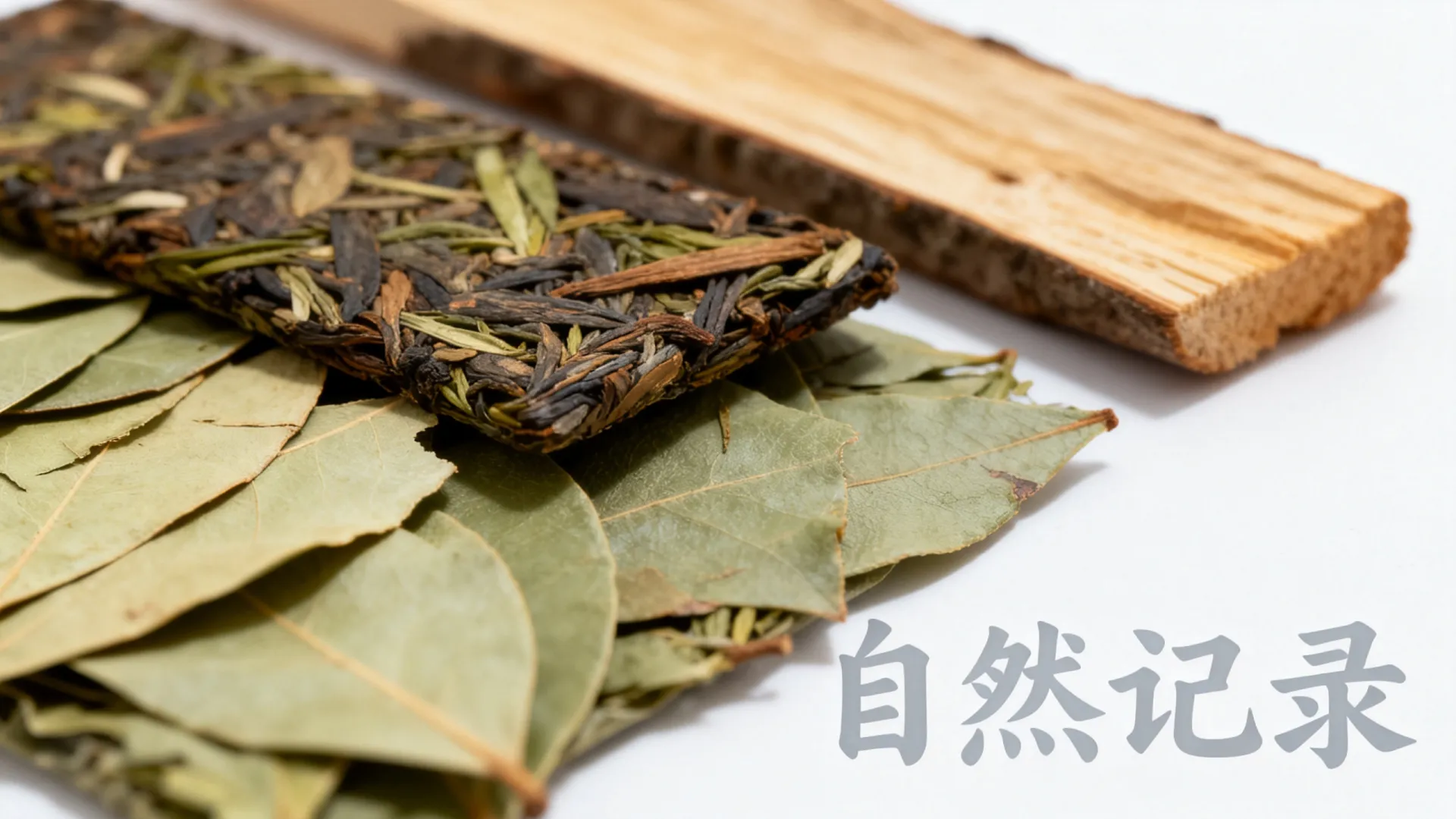 棉花云高防电信,联通,移动,电信cn2,CMI,PCCW,SKT独享新加坡 SKT独享新加坡