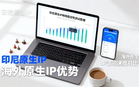 新春特惠印尼原生ip怎么样，海外原生IP有什么优势