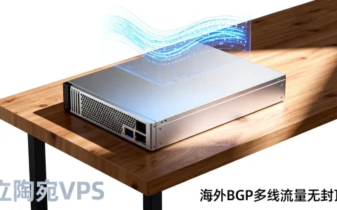 立陶宛VPS怎么样？海外BGP多线流量无封顶