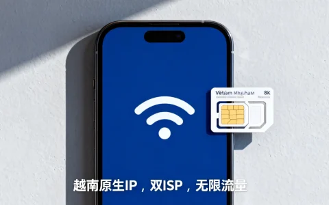 越南原生IP有什么优势？海外双ISP无限流量推荐