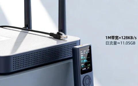 带宽1M等于多少流量？1M带宽一天能跑多少流量