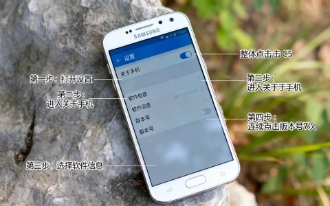 三星c5开发者选项在哪，三星c5如何打开开发者模式
