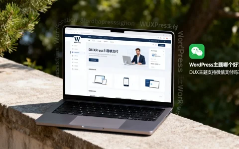 WordPress主题哪个好？DUX主题支持微信支付吗？