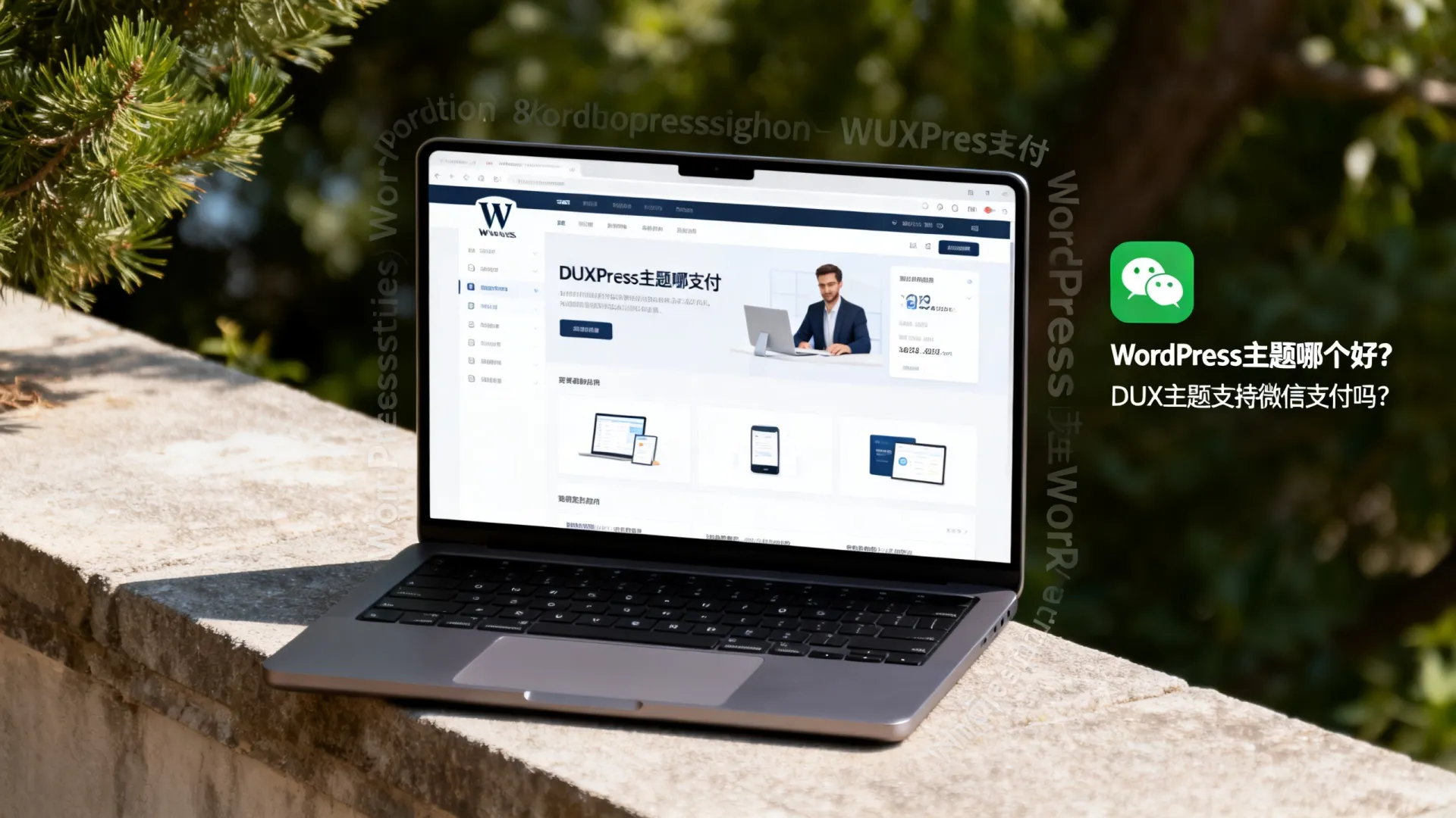 #618#themebetter:WordPress主题DUX/TB-Member会员插件大促销,支持支付宝/微信支付 WordPress主题DUX