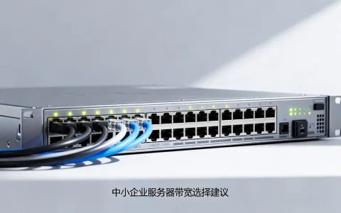 中小企业服务器带宽怎么选？带宽选择建议与配置推荐