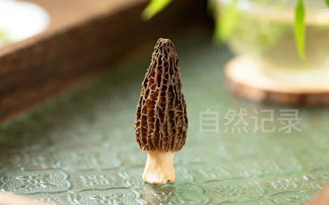 华纳云618活动16G5M香港云服务器166元？真香还是陷阱？VPS评测解析！