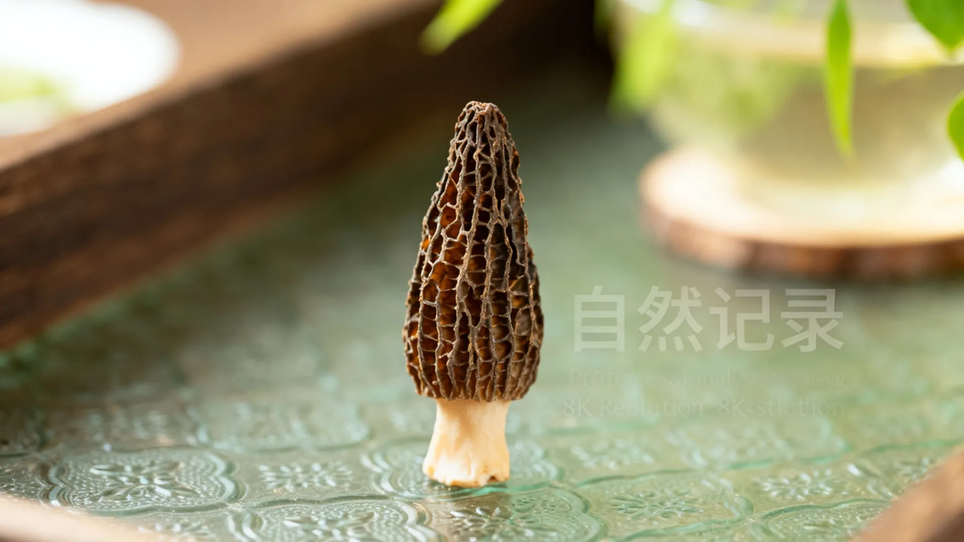 华纳云618活动开启 16G5M香港云服务器低至166元 - VPS评测 - 国外VPS,国外VPS商家,评测及优惠 华纳云618活动开启 16G5M香港云服务器低至166元 - VPS评测 - 国外VPS,国外VPS商家,评测及优惠