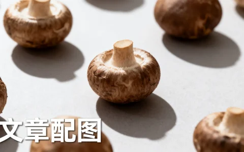 打印机怎么安装连接电脑，打印机连不上电脑怎么办
