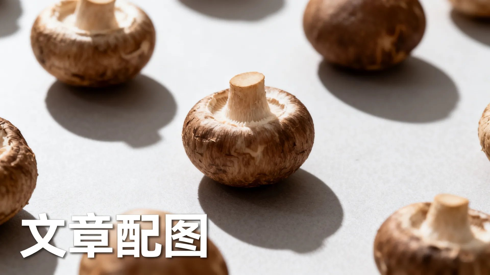 打印机怎么安装连接电脑 打印机怎么安装连接电脑
