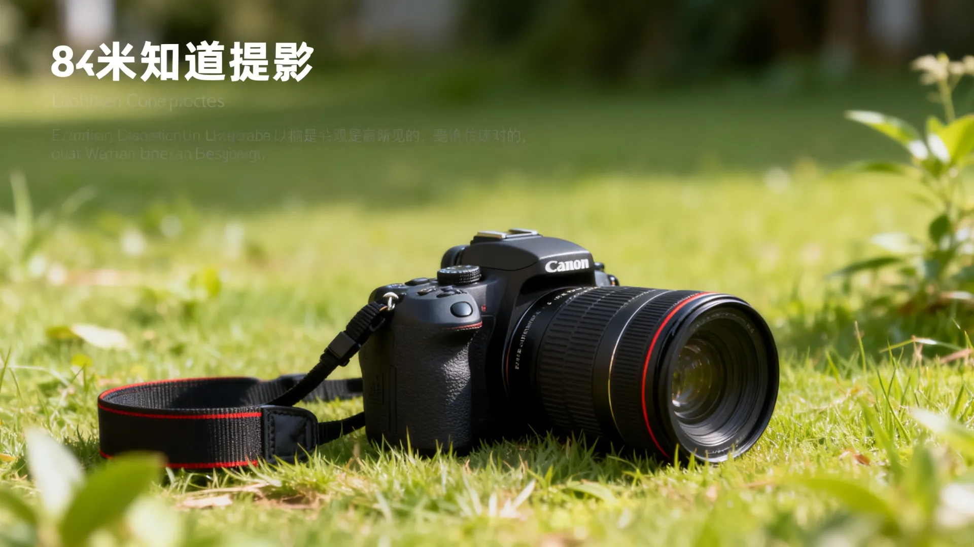 深圳管理系统开发的 深圳管理系统开发的