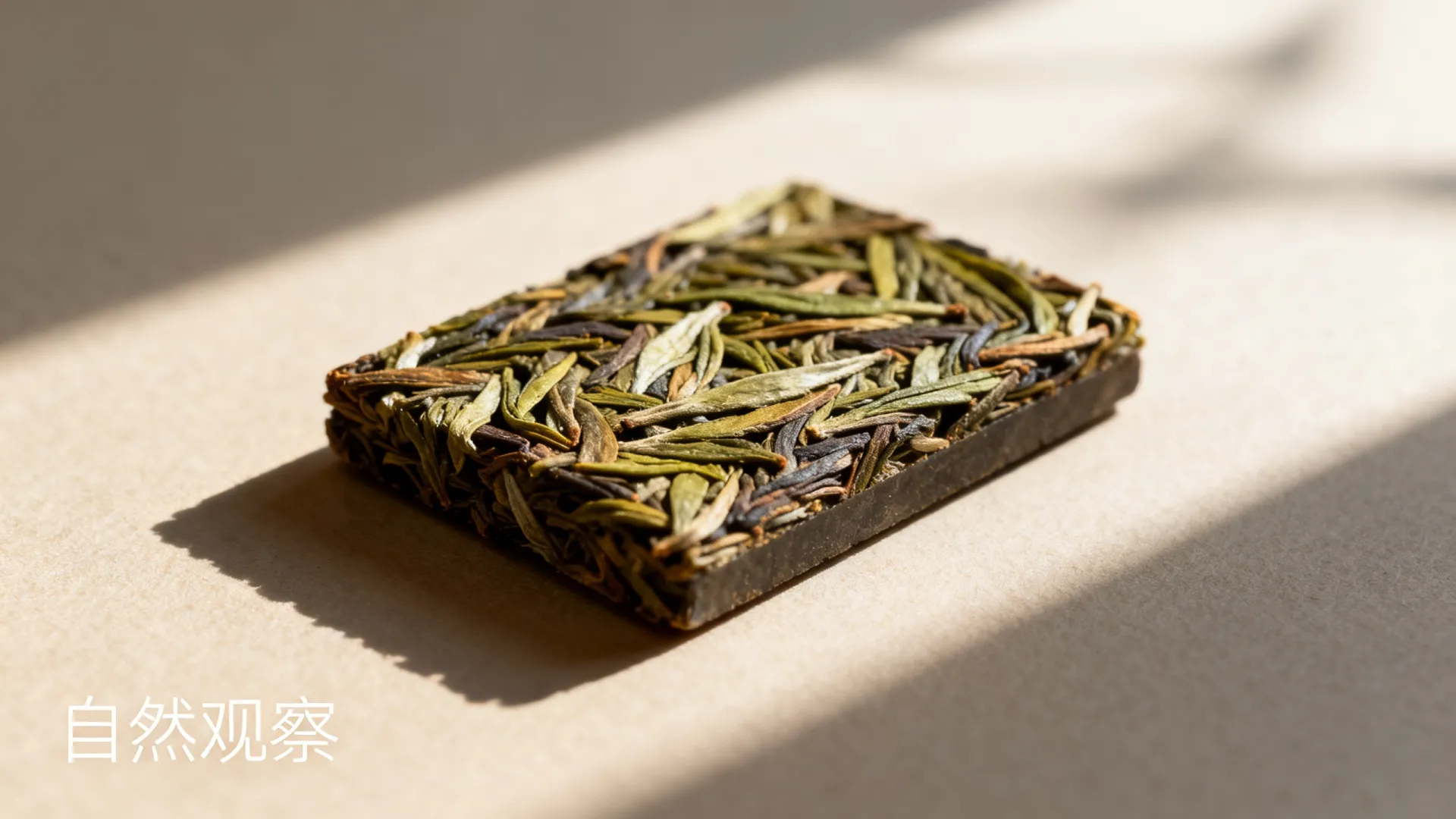 单片机实验开发板
