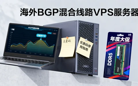 海外BGP混合线路vps优惠码怎么用？年度大促DDR5内存流量用不完