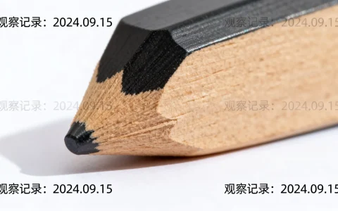 服务器在线迁移过程中，有哪些潜在风险和应对策略？