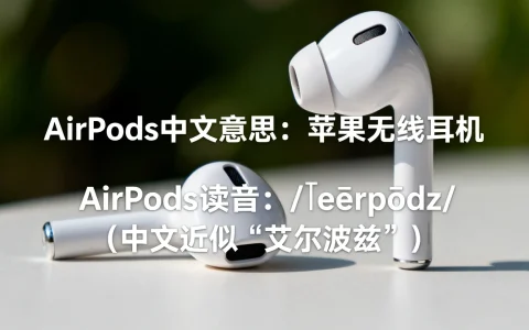 airpods中文意思是什么，airpods怎么读中文翻译