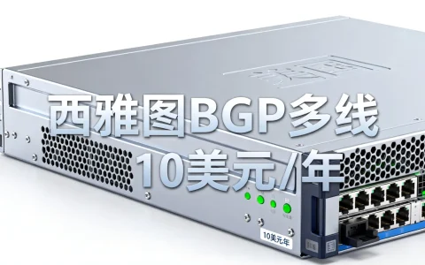 西雅图BGP多线10美元一年的美国服务器靠谱吗？美国便宜服务器推荐