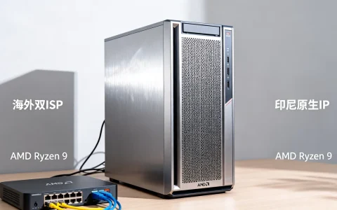 海外双ISP印尼原生IP是什么？AMD Ryzen 9服务器推荐