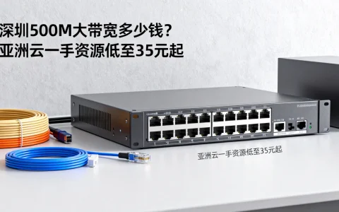深圳500M大带宽多少钱？亚洲云一手资源低至35元起
