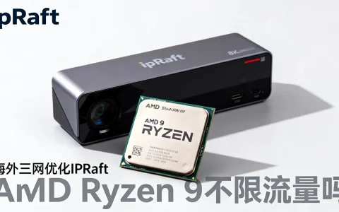 海外三网优化IPRaft怎么样？AMD Ryzen 9不限流量吗