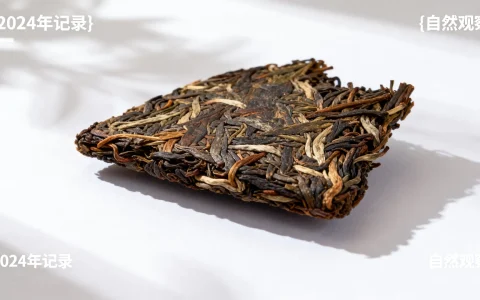 自制最小电脑真的可行吗，怎么自制最小电脑？